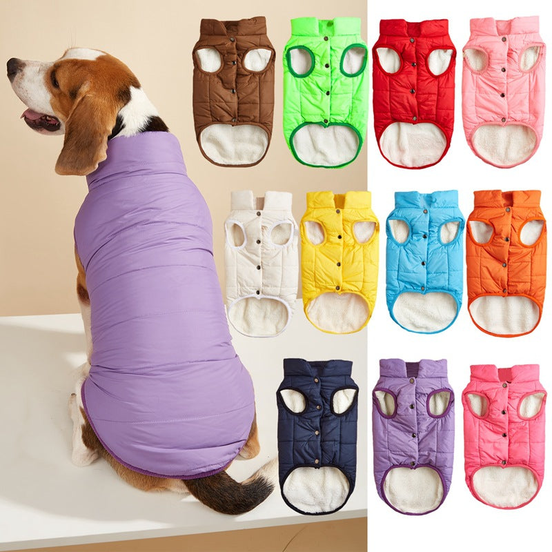Small dog in a navy padded button up vest