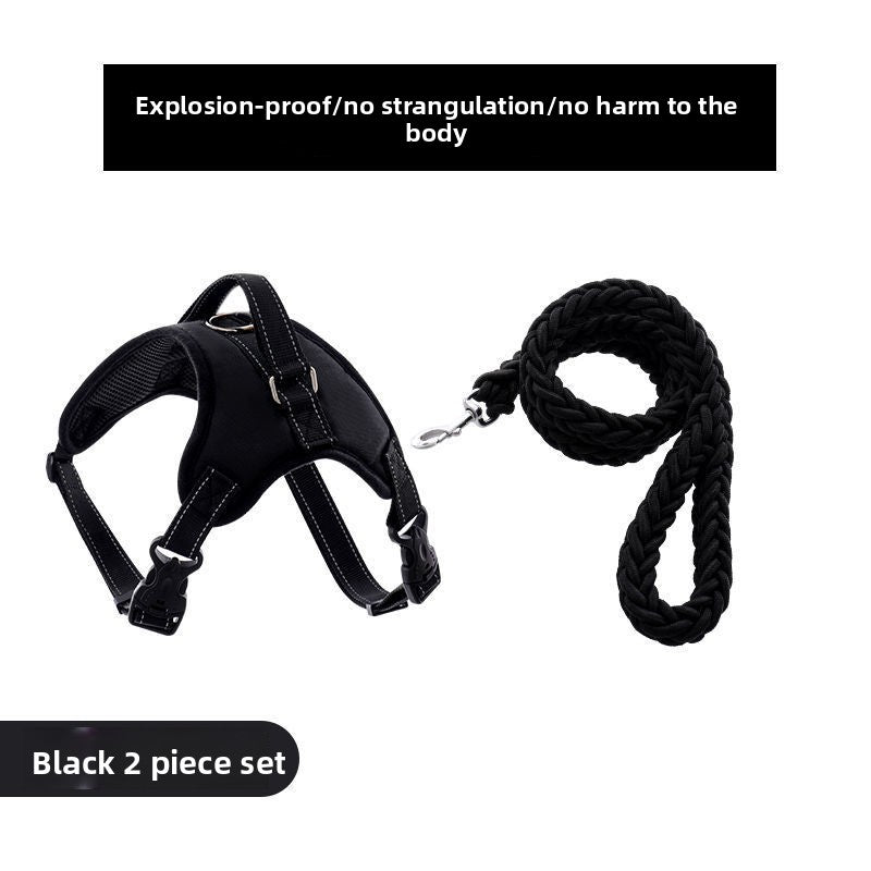 Blue nylon harness for large dogs with braided rope lead