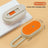 Rechargeable Steam Spray Massage Brush for Cats and Dogs