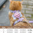 Cute bee pet harness set shown in pink, blue and green