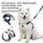 Water-resistant Oxford vest dog harness, main product photo
