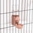 Hanging Pet Feeder and Water Dispenser Set, 500g Food and 500ml Water, Cage Mount