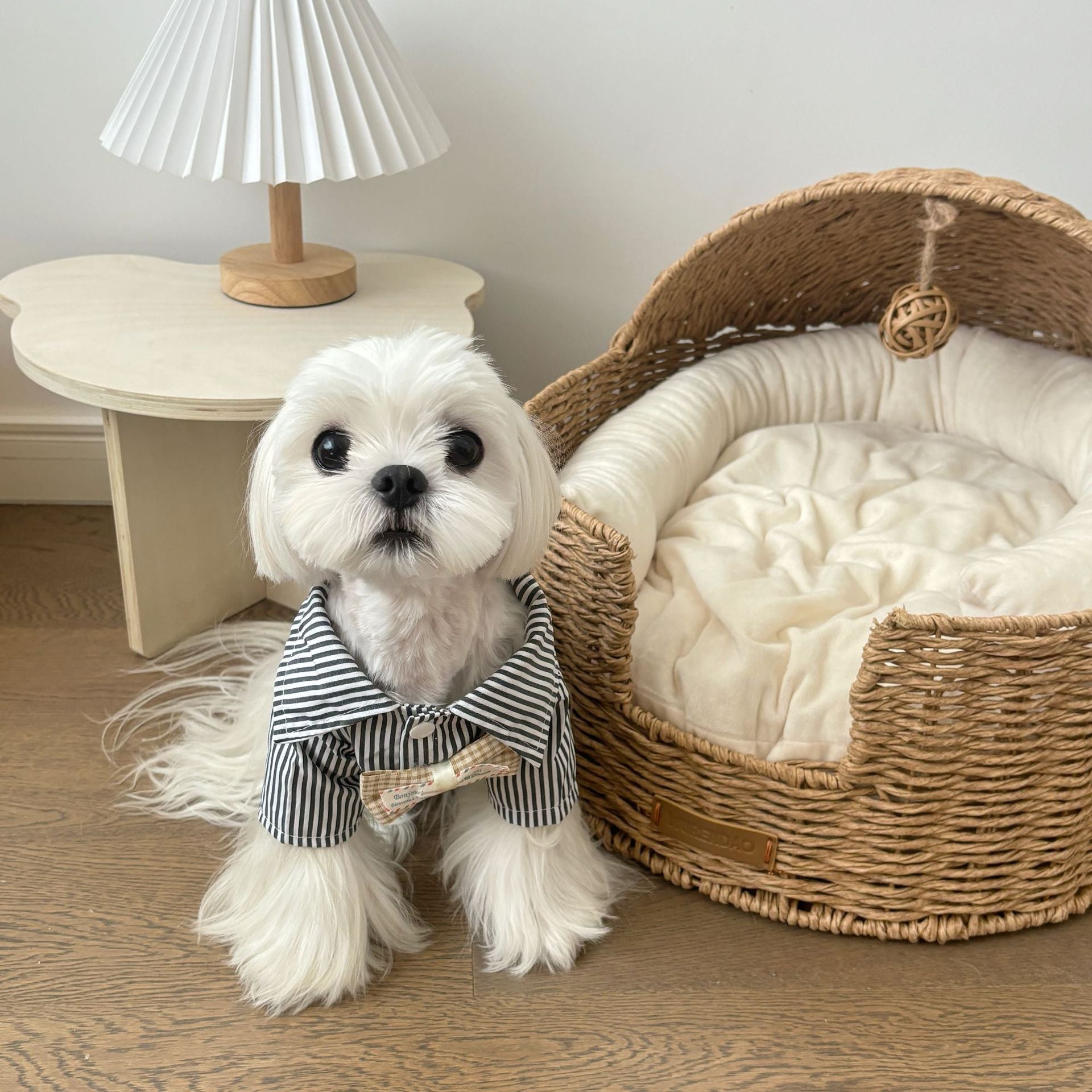 Striped polo collar dog shirt in summer polyester fabric, product image 1