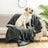 Waterproof double-sided pet blanket in grey on a sofa