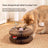 Accordion Cat Scratch Board in Fun Shapes, Furniture Protector
