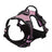 Polyester dog harness sets shown in nine bright colours