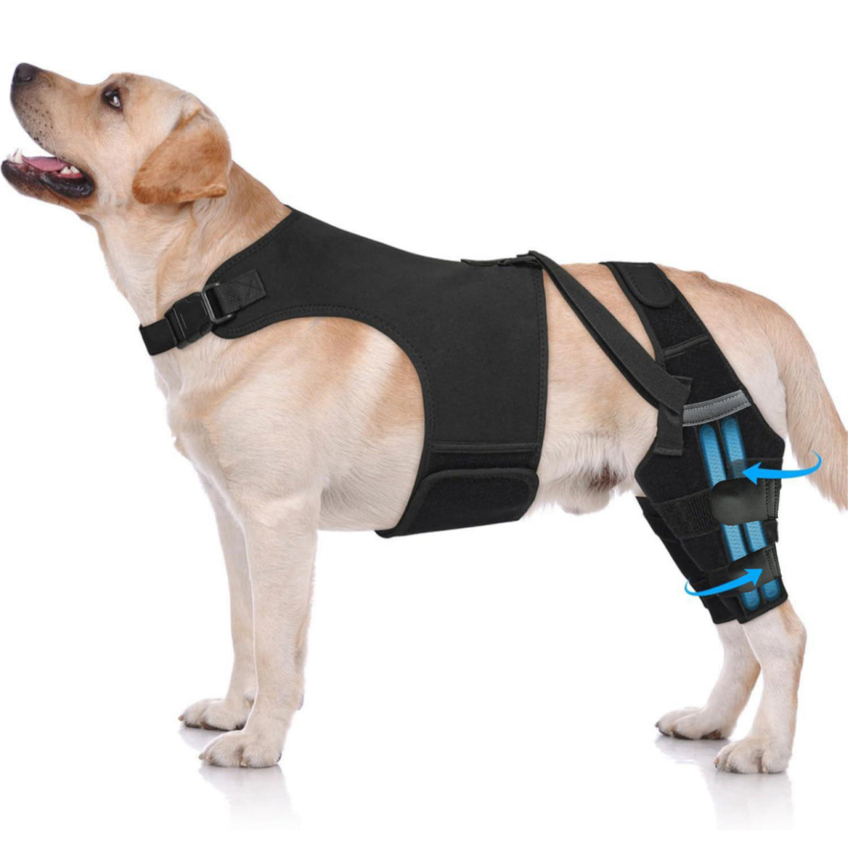 Black neoprene dog back support vest with leg straps, view 5