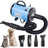 2000W Pet Hair Dryer for Medium to Large Dogs, Quiet Two-Speed
