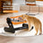 Adjustable Height Stainless Steel Pet Bowl, Single or Double Raised Feeder in Two Colours
