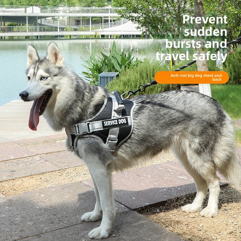 Reflective breathable dog vest harness with lead, product image 1