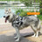Reflective breathable dog vest harness with lead, product image 1