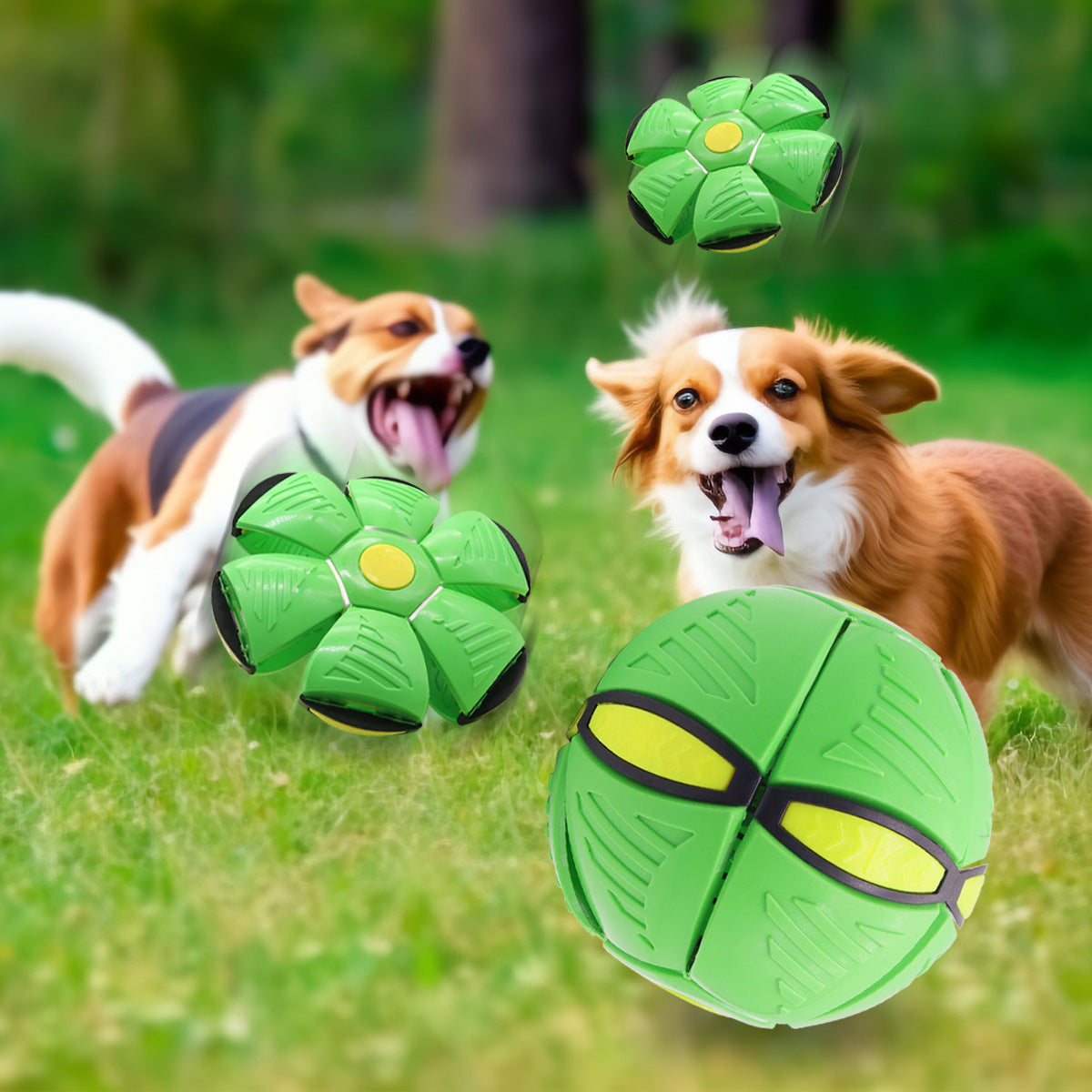Flying saucer ball dog toy with optional LED lights for fetch - view 1