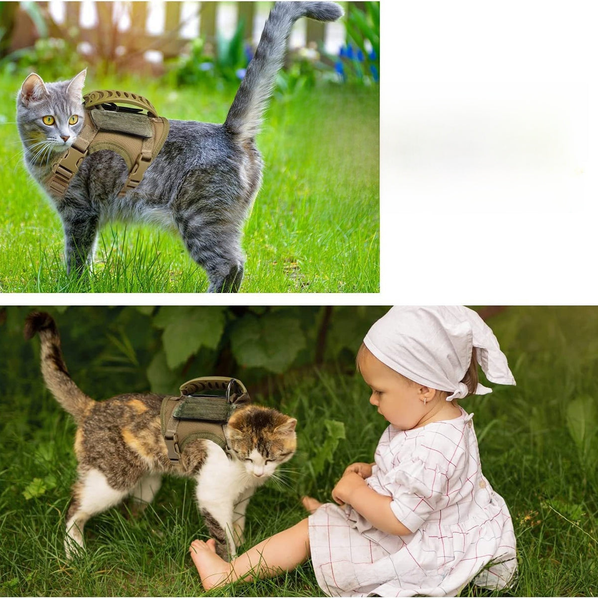 Black tactical cat harness with matching lead and embroidered patches
