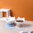 Ceramic Pet Bowl with Anti-Spill Design and Silicone Pad