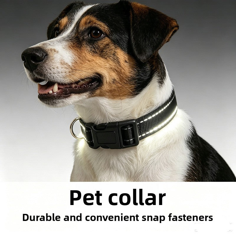 Reflective nylon dog collar, ideal for everyday use