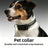Reflective nylon dog collar, ideal for everyday use