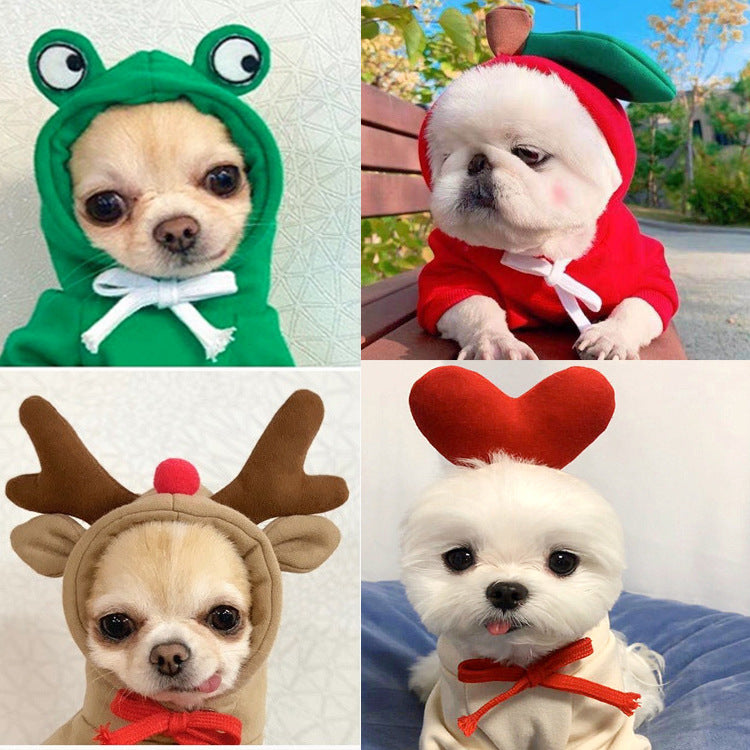 Small dog in a green frog fleece hooded jumper