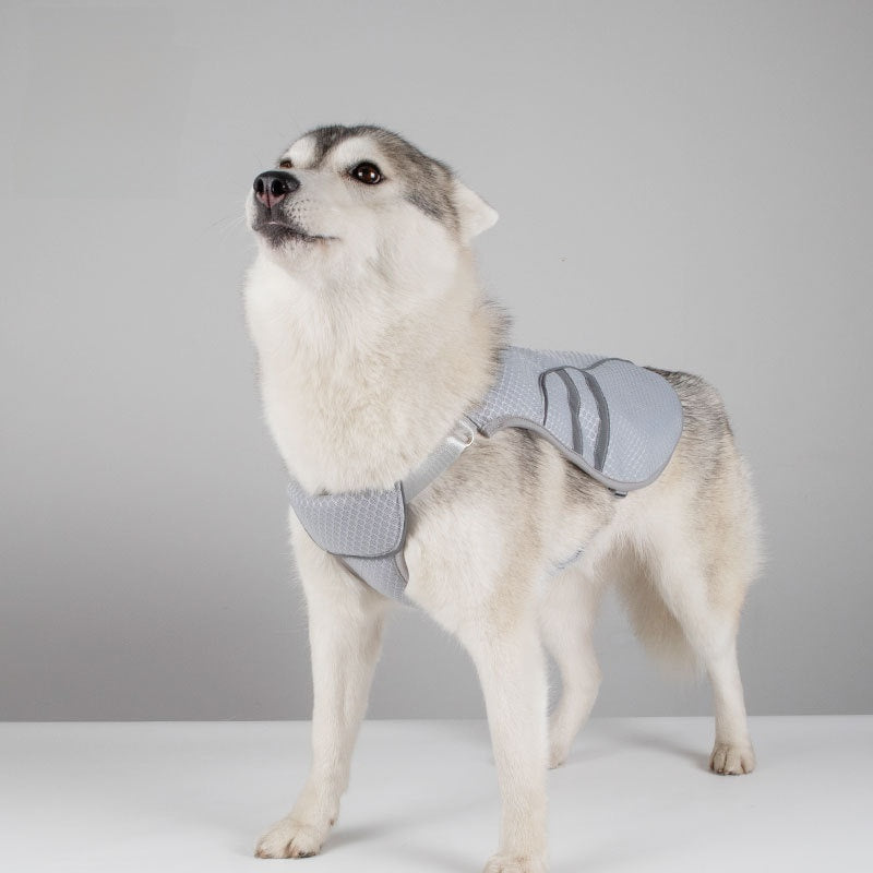 Grey cooling dog vest, in Grey, sizes Small to Extra Large, image 3