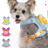 Dog harness with mini backpack and lead, product image 1
