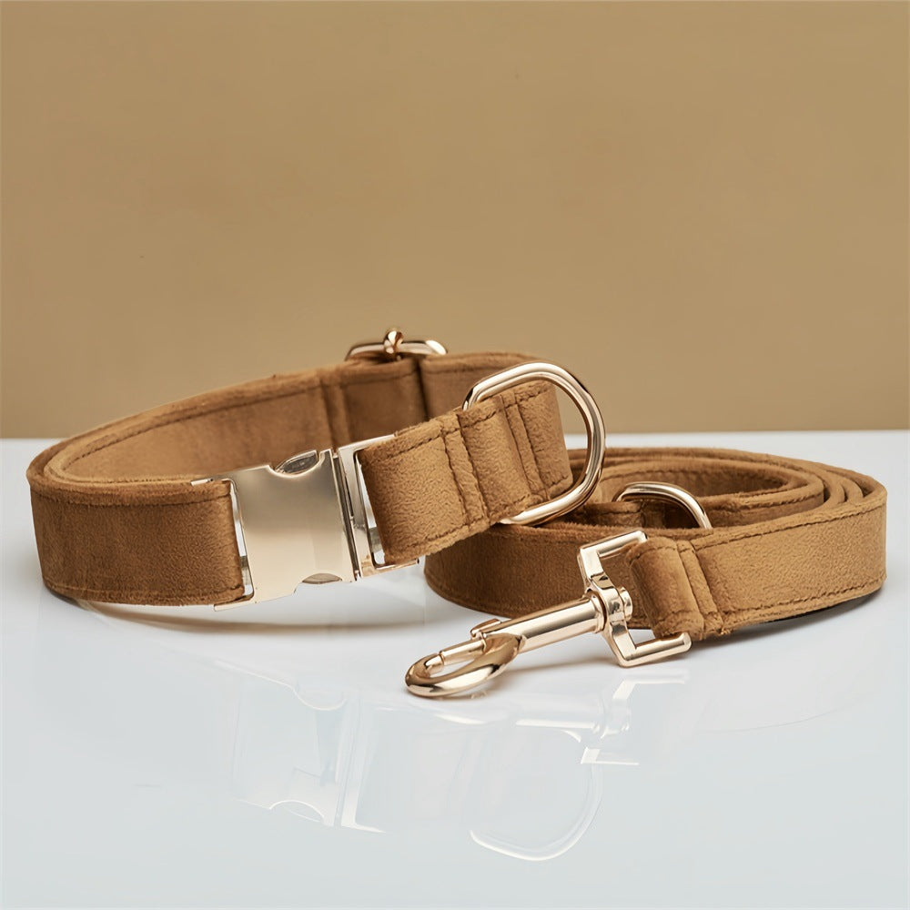 Soft velvet dog collar with metal buckle, ideal for everyday use