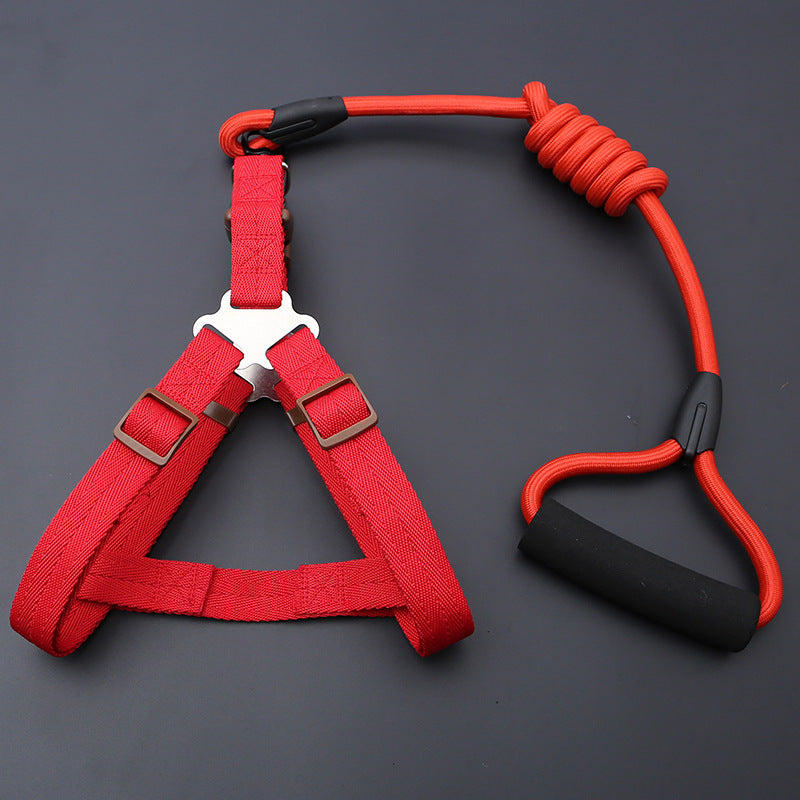 Three piece dog harness, collar and lead set in blue