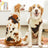 Cartoon bear pet sweatshirt for dogs and cats in Red Bear, in a home setting