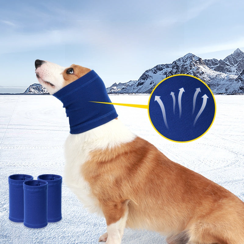 Dog wearing a grey noise muffling ear cover snood