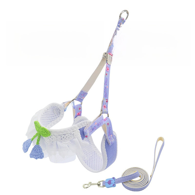 Small dog leads in sunflower, print and plain colour designs