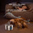 2.2L Stainless Steel Pet Water Dispenser with Quiet Pump and Replaceable Filter