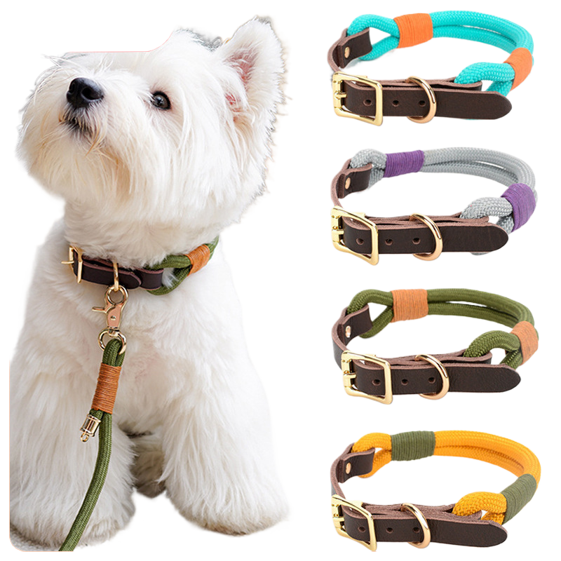 Stitched nylon dog collar with leather trim and metal buckle
