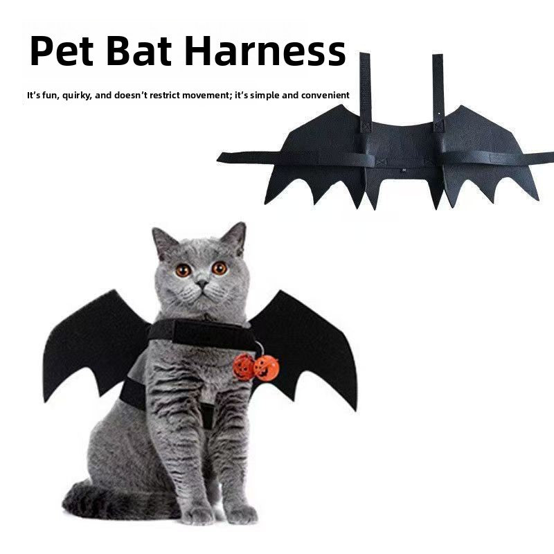 Cat wearing black felt bat wings for Halloween