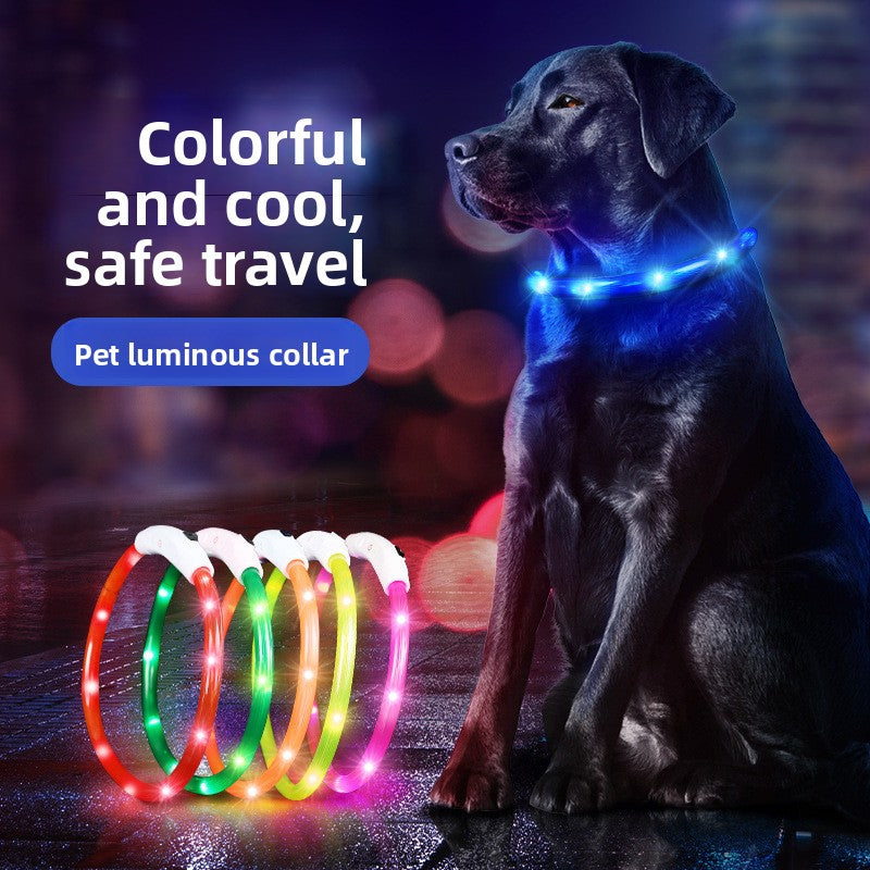 Rechargeable glowing LED dog collar for night walks, view 1