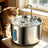 Circulating Stainless Steel Pet Water Fountain with Multi-Stage Filter and USB Power