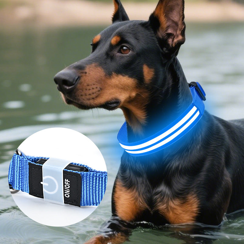 LED light-up dog collar in 8 colour options