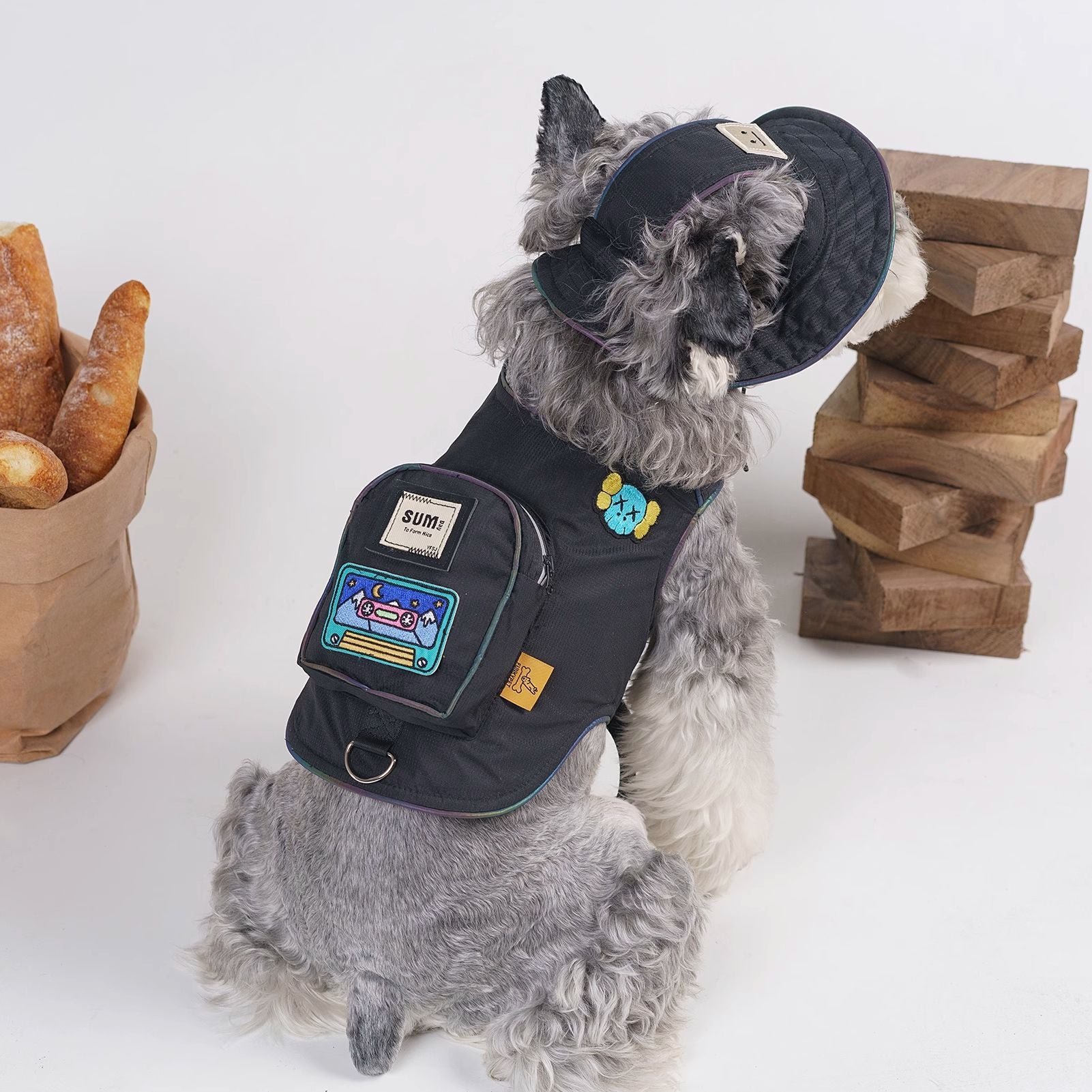 Reflective small dog harness set in black linen, in a home setting