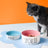 Creative Contrasting Color Ceramic Pet Bowl