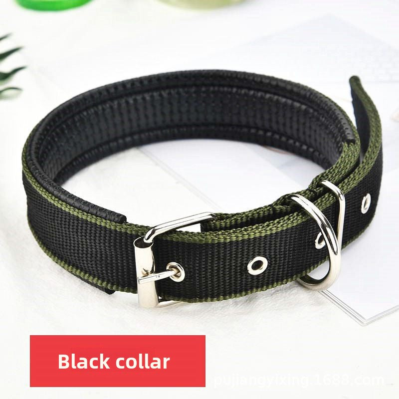 Reflective dog lead and collar set in Red 3-Piece Set, top view