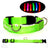 Rechargeable LED dog collars in eight glowing colours