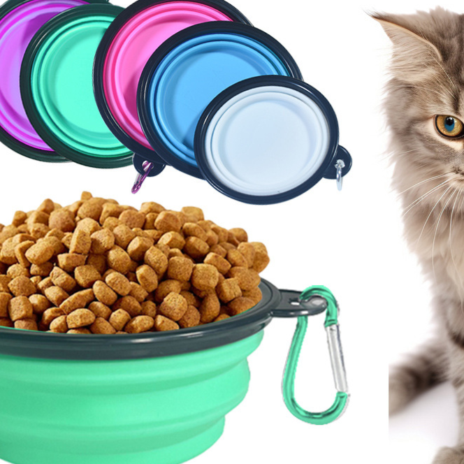 pet feeding bowl