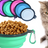 pet feeding bowl