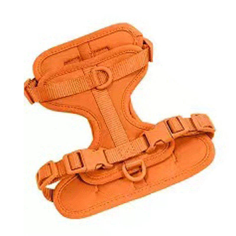 PVC dog harness lead and collar set in bright colours, ideal for everyday use
