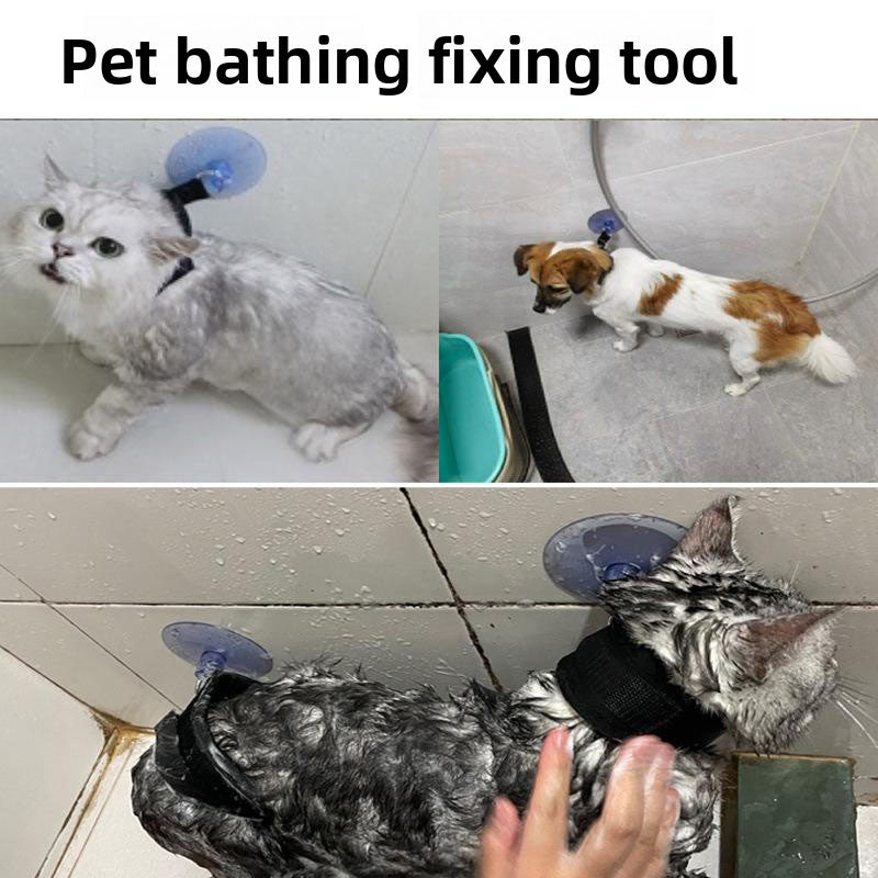 Pet bath restraint with suction cup holder and blue tether