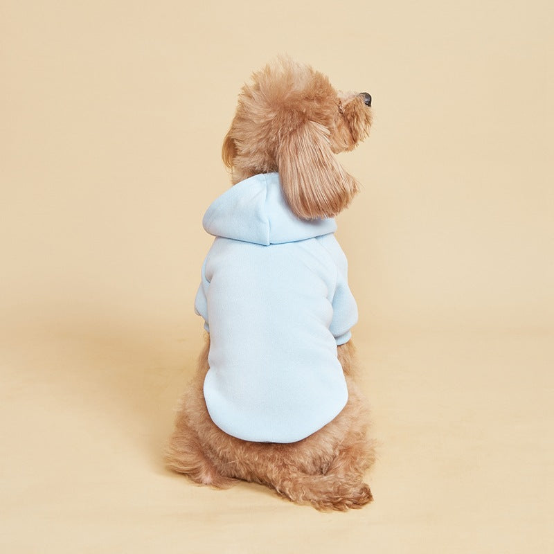 Classic hooded jumper for dogs and cats in Black, top view