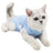 Female Cat Sterilization Clothes Postoperative Anti-Licking Pet Rehabilitation Wear