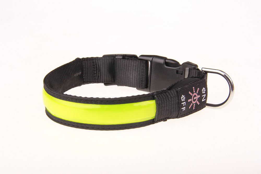 USB rechargeable LED dog collar glowing red at night