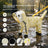 Small dog in a yellow pineapple four leg raincoat