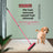 Pet Hair Removal Rubber Broom in Durable TPR for Carpets, Floors and Windows