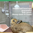 Double Ball Bearing Small Animal Water Bottle