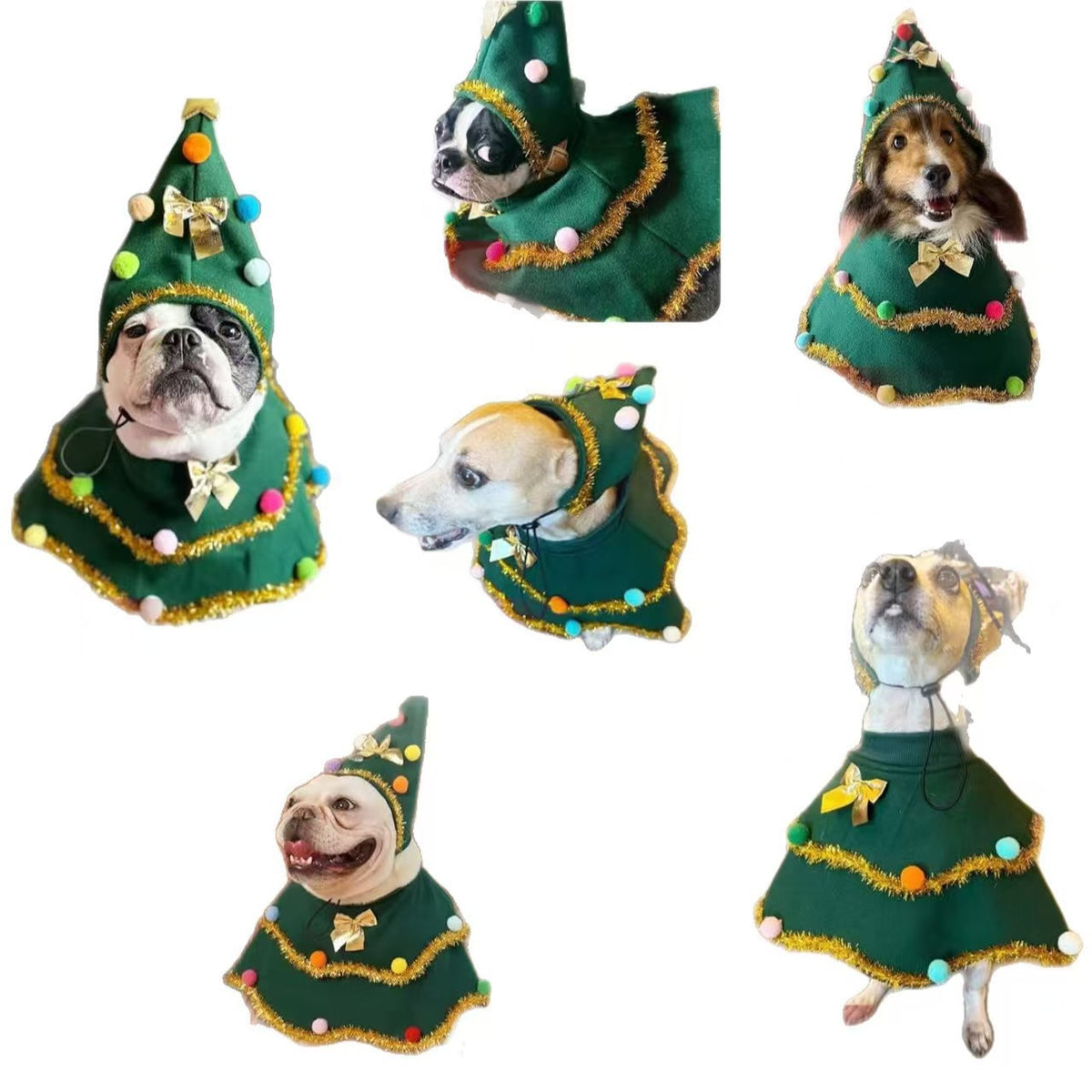 Small dog wearing a green Christmas cartoon cape outdoors