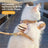 Bee pattern vest style cat harness with matching lead, product image 2